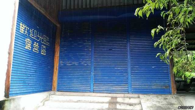 雨不停的首露 東勢林場