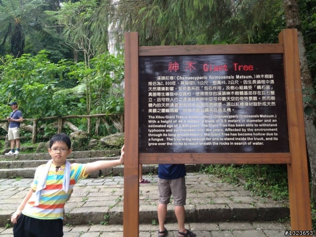 1020701 溪頭一日遊