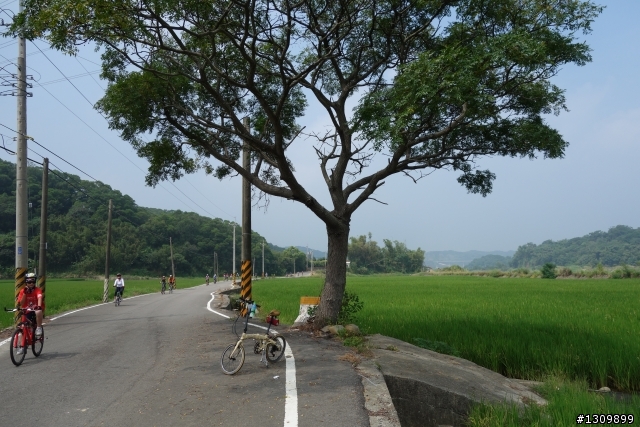 秋天好騎車，2013苗栗不落113，