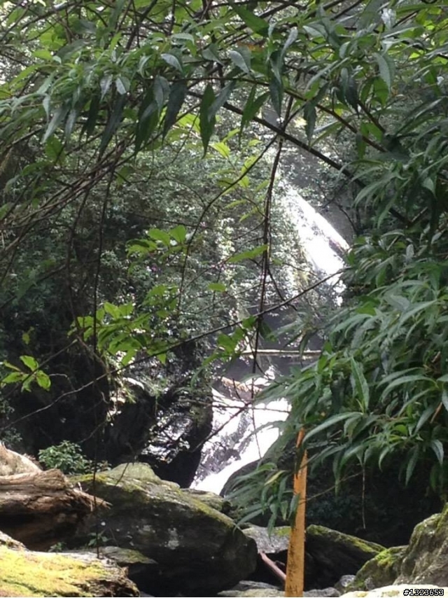 1020826 北大武爬山首航(檜谷山莊)