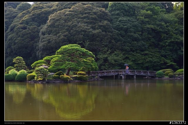 去年夏天，在東京