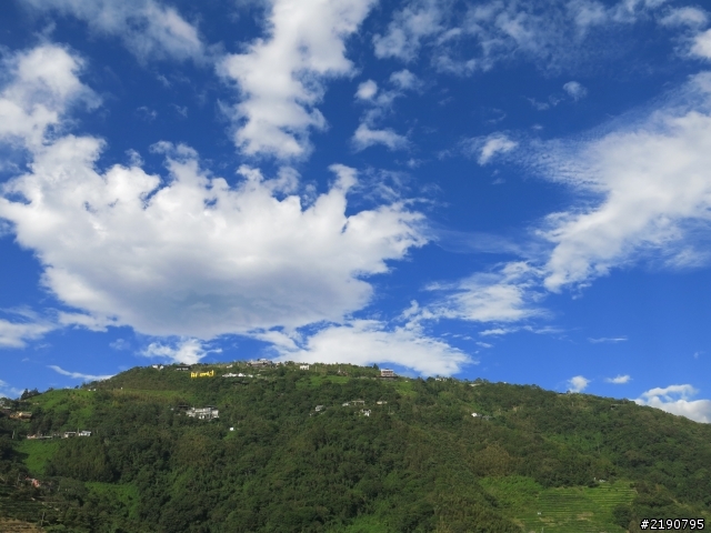 清境 新中橫 沒去成的阿里山
