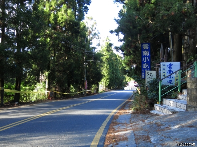 清境 新中橫 沒去成的阿里山