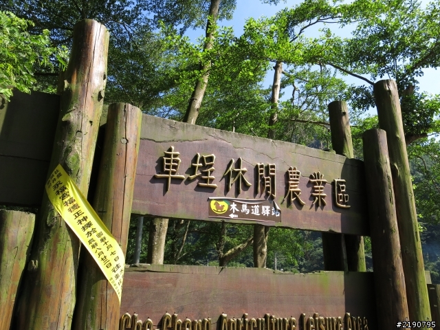 清境 新中橫 沒去成的阿里山