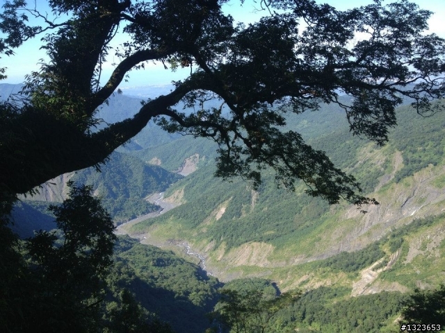 1020826 北大武爬山首航(檜谷山莊)