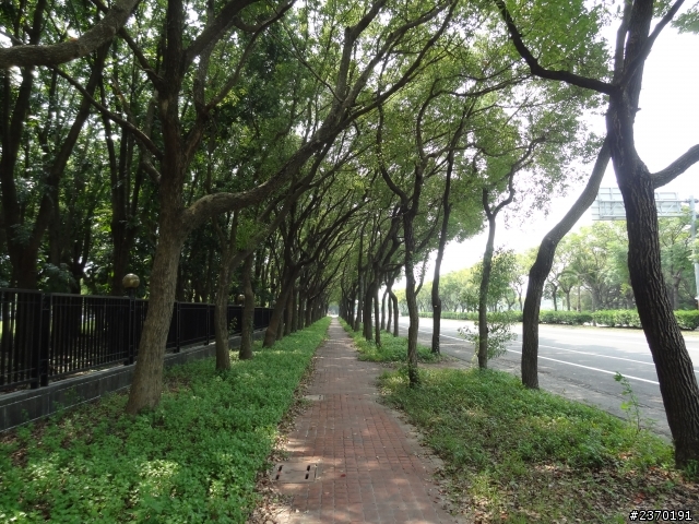 雲林科技大學半日遊