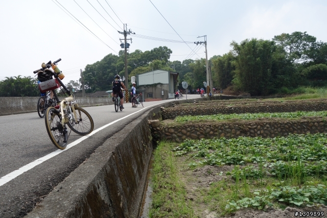 秋天好騎車，2013苗栗不落113，