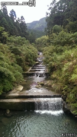 趁著中秋4連假，帶著NEW ONE去溪頭