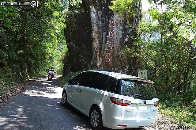 MPV的好，喜歡園藝就知道，滑門一開輕鬆把樹載回家。