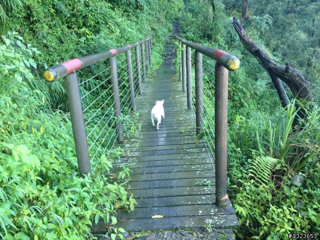 1020826 北大武爬山首航(檜谷山莊)