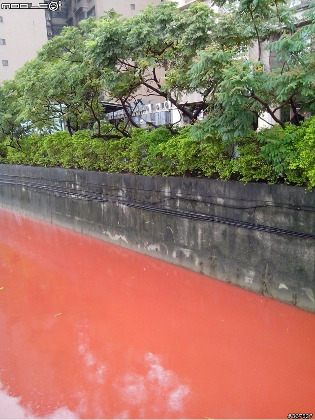 泰山中港大排變紅色了