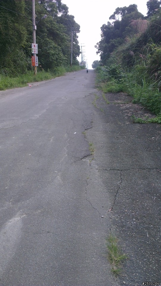 台中不錯的夜騎地點