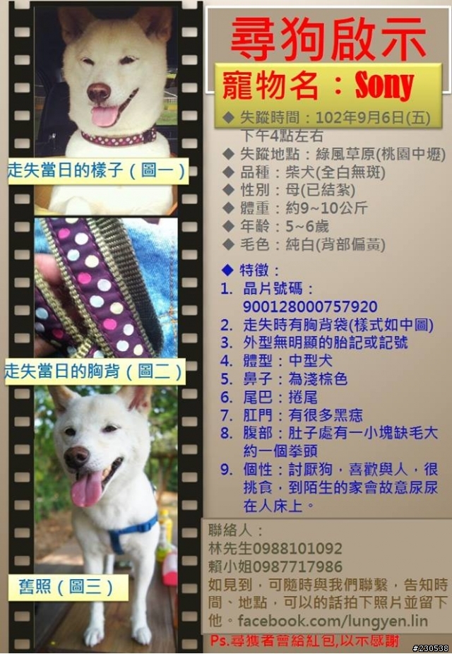 [寵物走失協尋]請協助轉貼,我們需要你幫忙