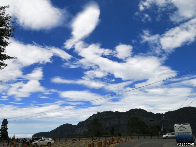 清境 新中橫 沒去成的阿里山