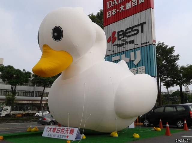 高雄大樂白色天鵝