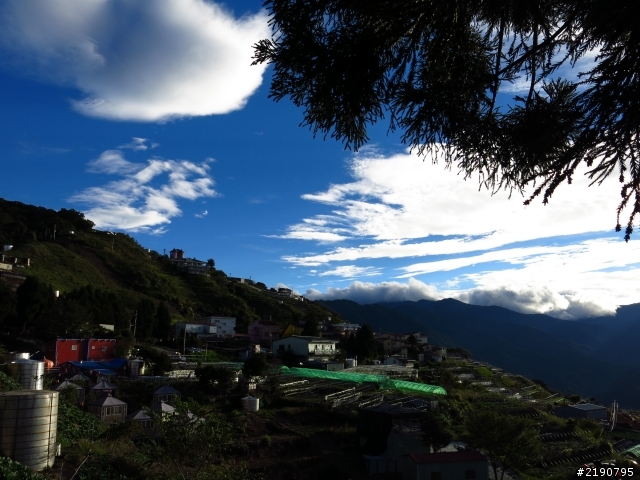 清境 新中橫 沒去成的阿里山