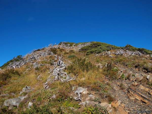 雪山主東山岳健走
