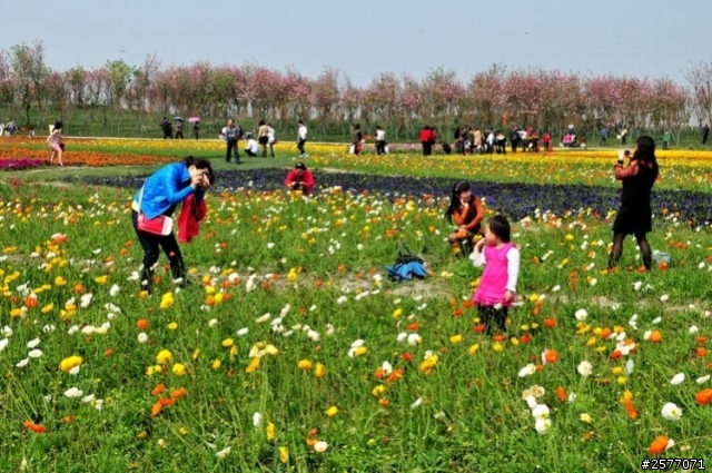 A Trip to China---Chengdu