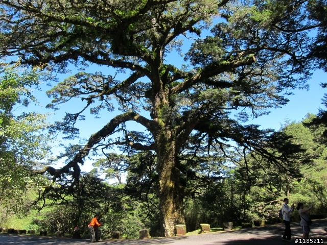 102年中秋節玉山國家公園登山健行