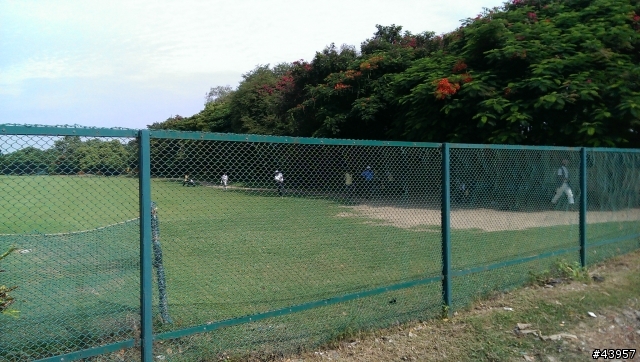 [分享]印度MGC Golf Course擊球記~這不是真的，我真的沒有一桿進洞!