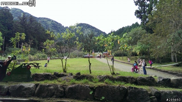 趁著中秋4連假，帶著NEW ONE去溪頭