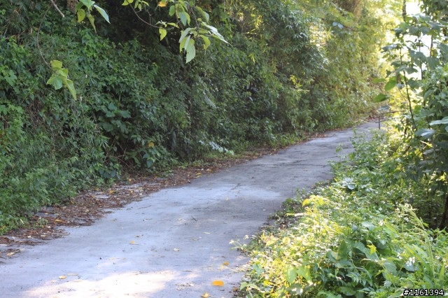 南橫緬懷兩三事與圖片分享+七嘴八舌區