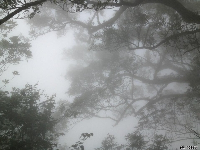 1020826 北大武爬山首航(檜谷山莊)