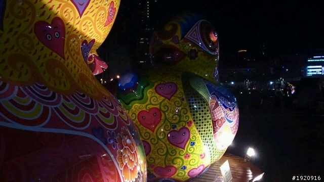Zu夜拍還不賴~