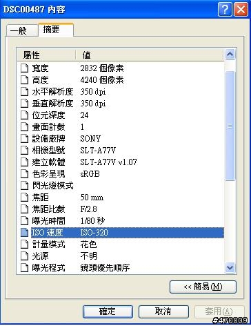 請問這是光圈問題還是移焦問題或是對焦失敗？