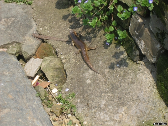 年行萬里 ~ D12 婺源的好水與古建築 三清山金沙服務區-婺源-李村-汪口-江灣-曉起-江嶺-思溪延村