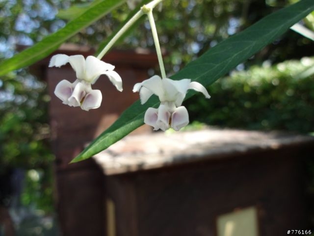 SONY DSC-QX10 拍照實景~蓋樓吧!