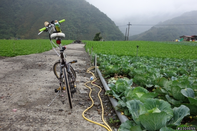 2013 北進武嶺，雙武爭鋒，