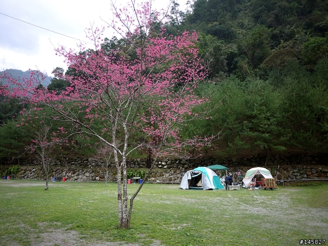 露營真是大小同樂的好活動-大家來po圖吧