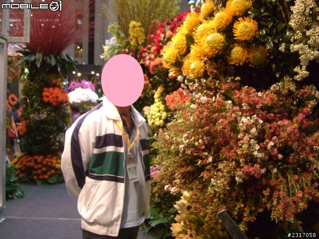 台北國際花卉展-花豔