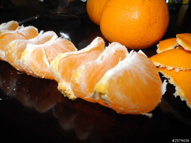 水果日記  和歌山 蜜柑