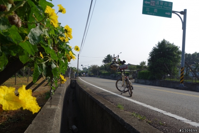 2013 苗栗苑裡 Life Bike 單車活動