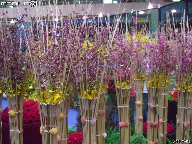 台北國際花卉展-花豔