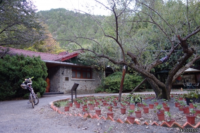 2013 北進武嶺，雙武爭鋒，