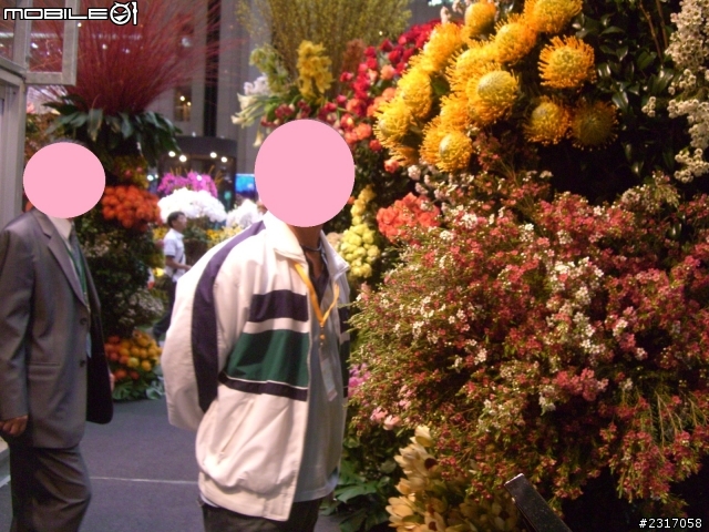 台北國際花卉展-花豔