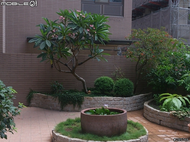 分享我家的露臺花園