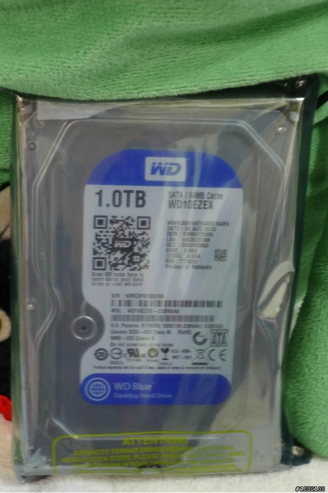 中醫小兔的接生實況--WD 藍標的誕生!!