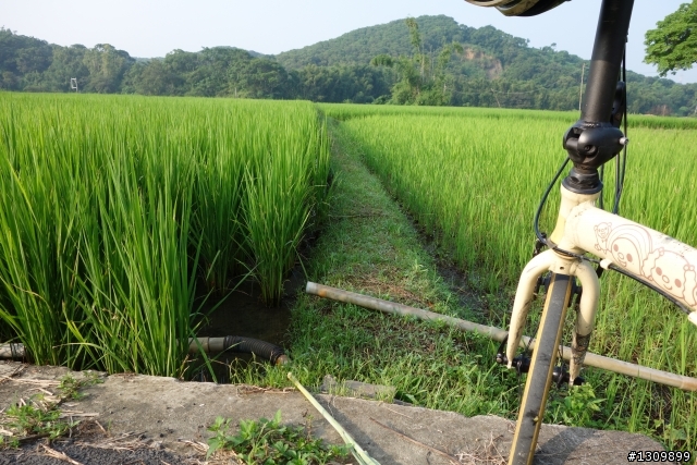 2013 苗栗苑裡 Life Bike 單車活動