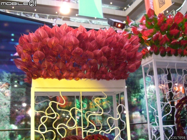 台北國際花卉展-花豔