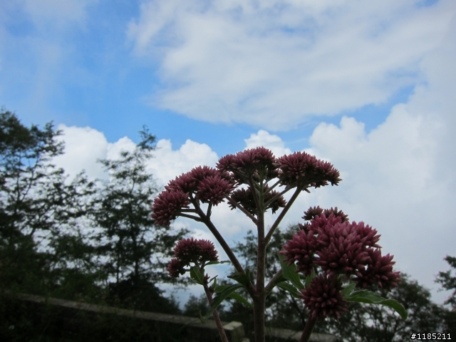 2013年初秋騎新中橫，登東埔山