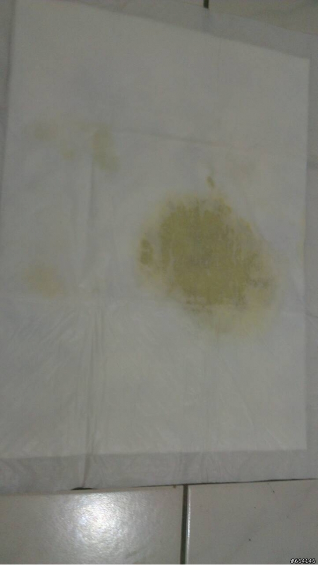 消臭大師超吸收狗尿墊試用心得