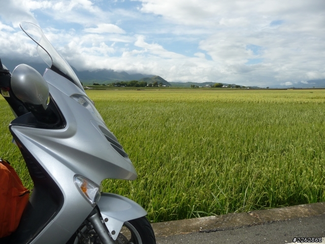 頂客250-伯郎大道+天堂路