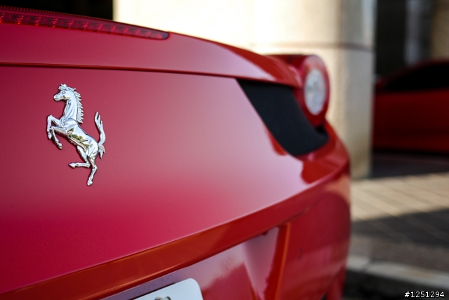 雙十國慶遇到好幾隻馬