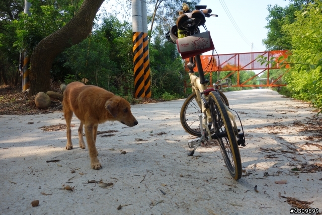 2013 苗栗苑裡 Life Bike 單車活動