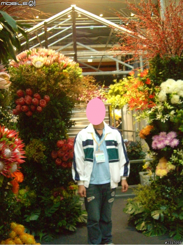 台北國際花卉展-花豔
