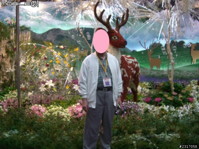 台北國際花卉展-花豔